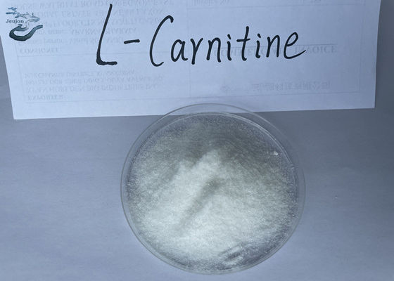 Cosmetics Raw Materials R L Carnitine Powder For Weight Loss CAS 541-15-1 Belly Fat Burner Powder
